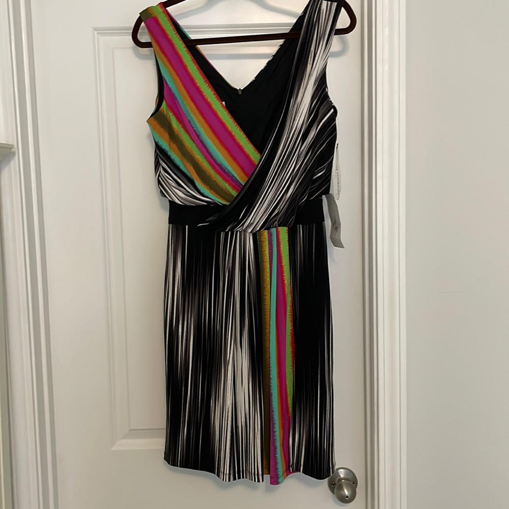 NWT color contrast dress